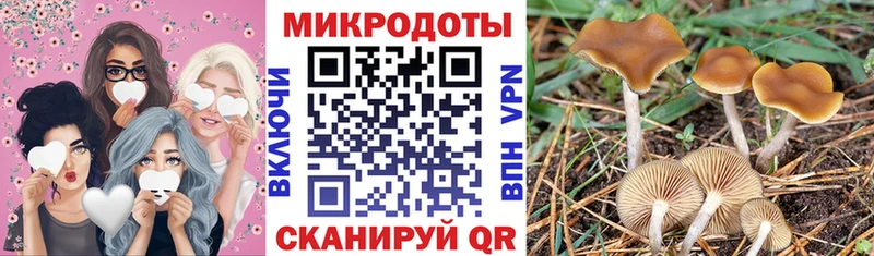 Псилоцибиновые грибы Cubensis  Свирск 